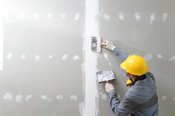 Best Acoustic or Soundproof Drywall Installation  in New Buffalo, MI