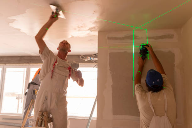 Best Drywall for Remodeling  in New Buffalo, MI